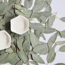 Organic Green Tea Nourishing Face mask - Basics and Organics